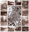 PLAN DES RUES DE BAB EL OUED