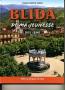 BLIDA DE MA JEUNESSE