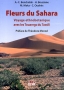 Fleurs du Sahara