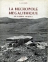 LA NECROPOLE MEGALITHIQUE